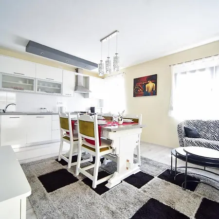 Apartment Franko *